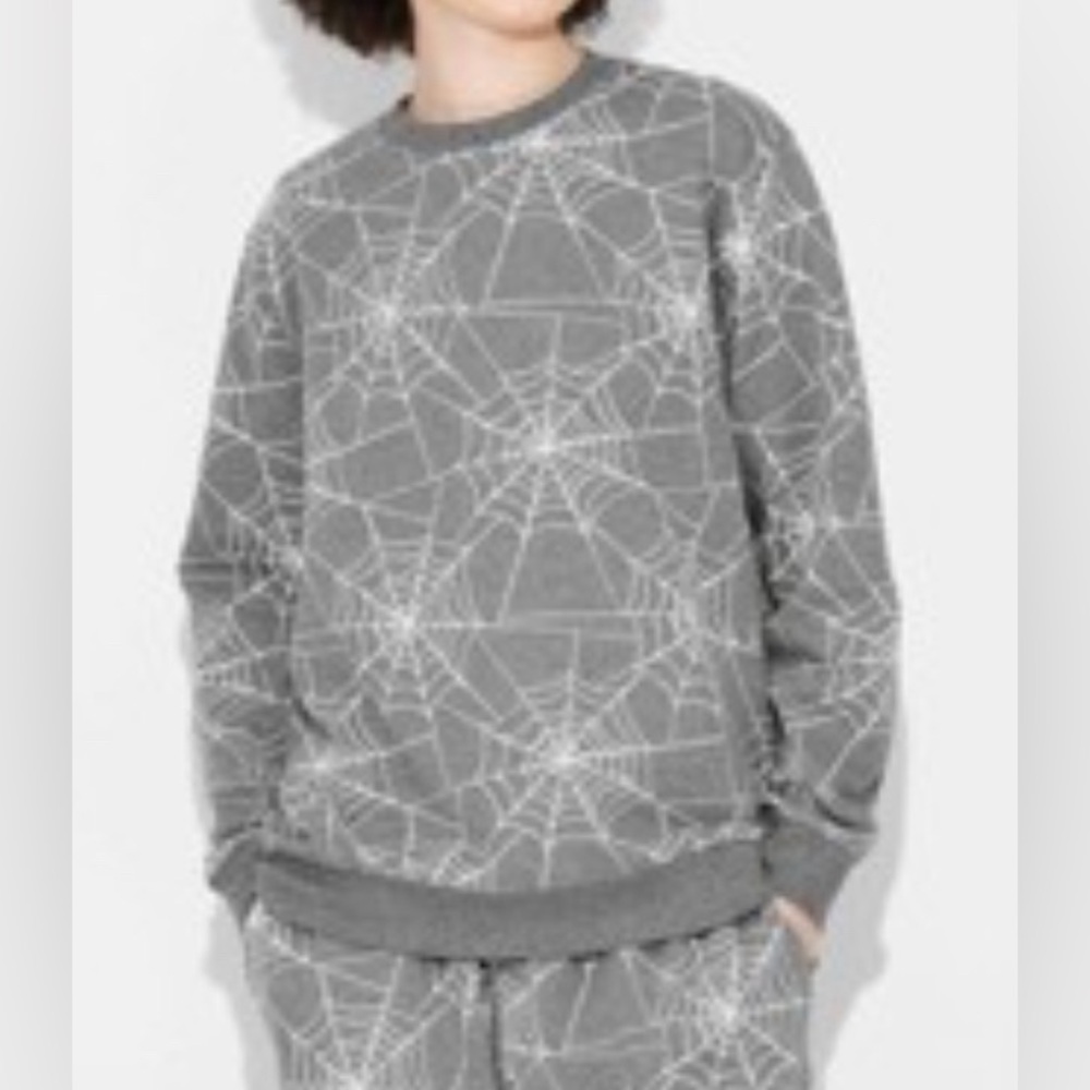 Women's Spiderweb Print Graphic Sweatshirt Relaxed Small Charcoal Gray